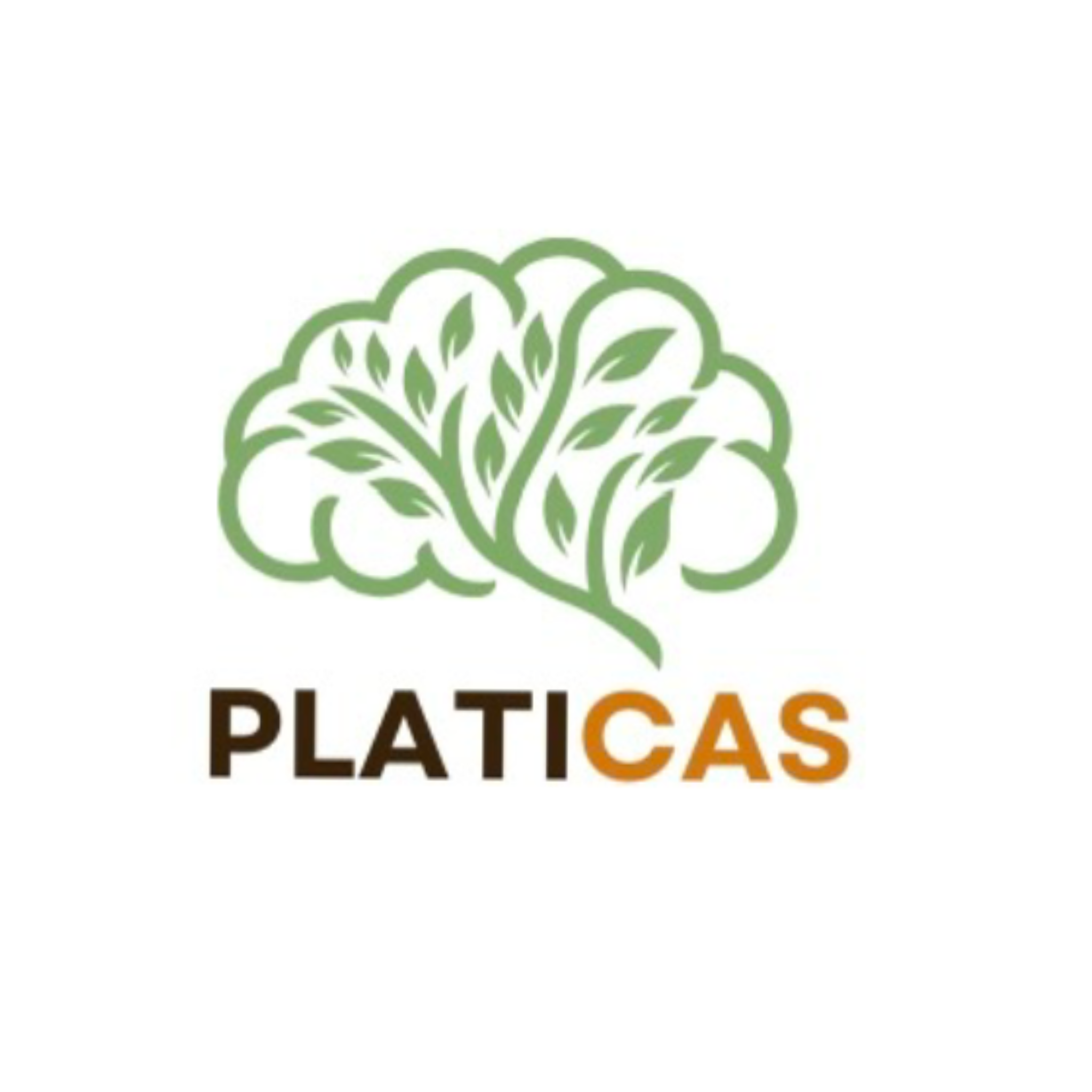 Platicas LLC